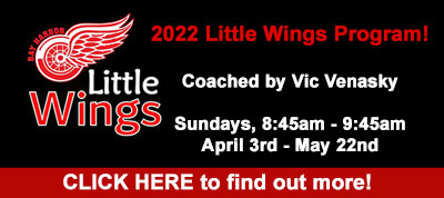 2019 Little Wings Font 2 large